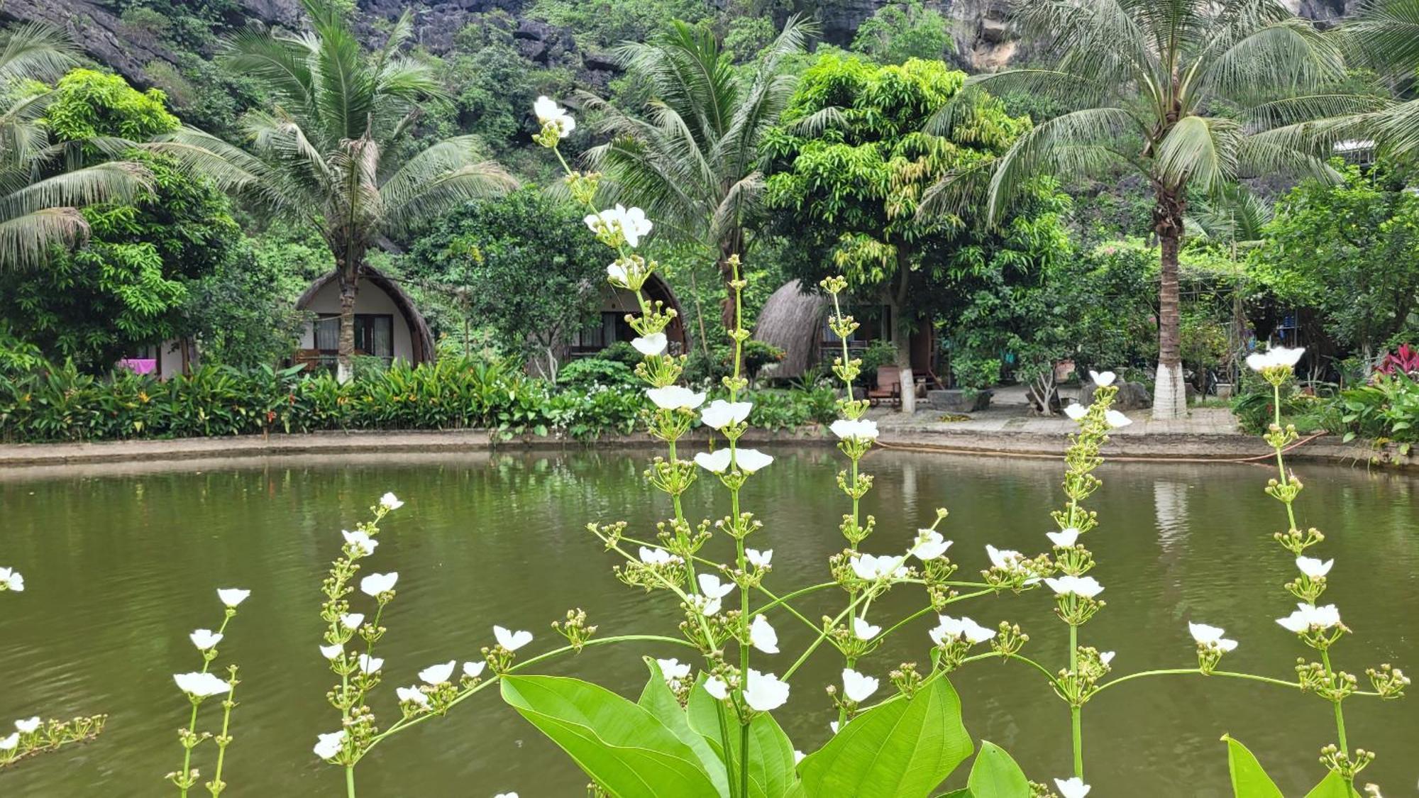 Hotel Fairy Mountain Retreat Ninh Binh Exterior foto